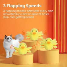 Quacking duck cat toy - Always Whiskered