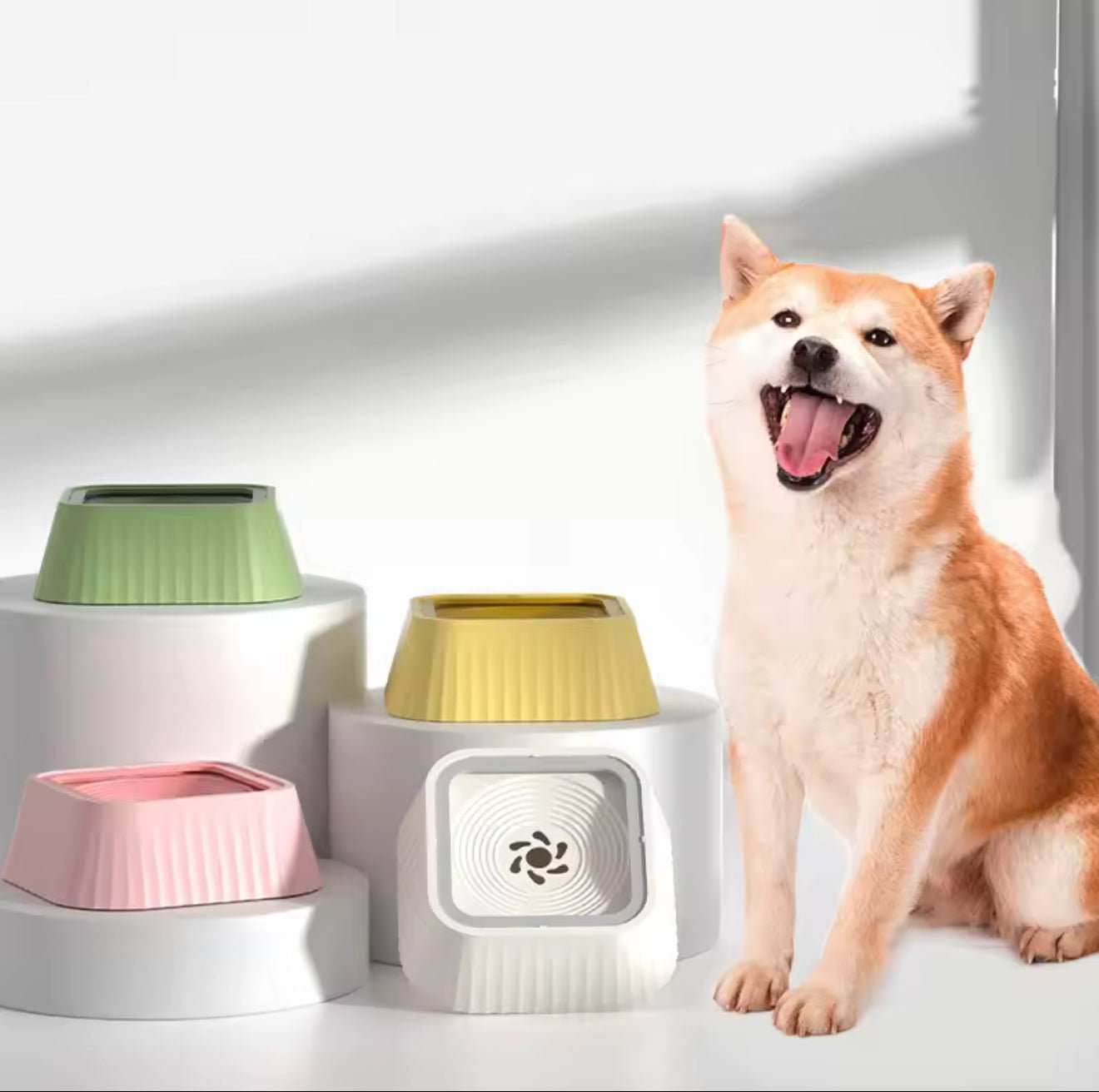 Float No - Wet - Mouth Water Bowl - Always Whiskered