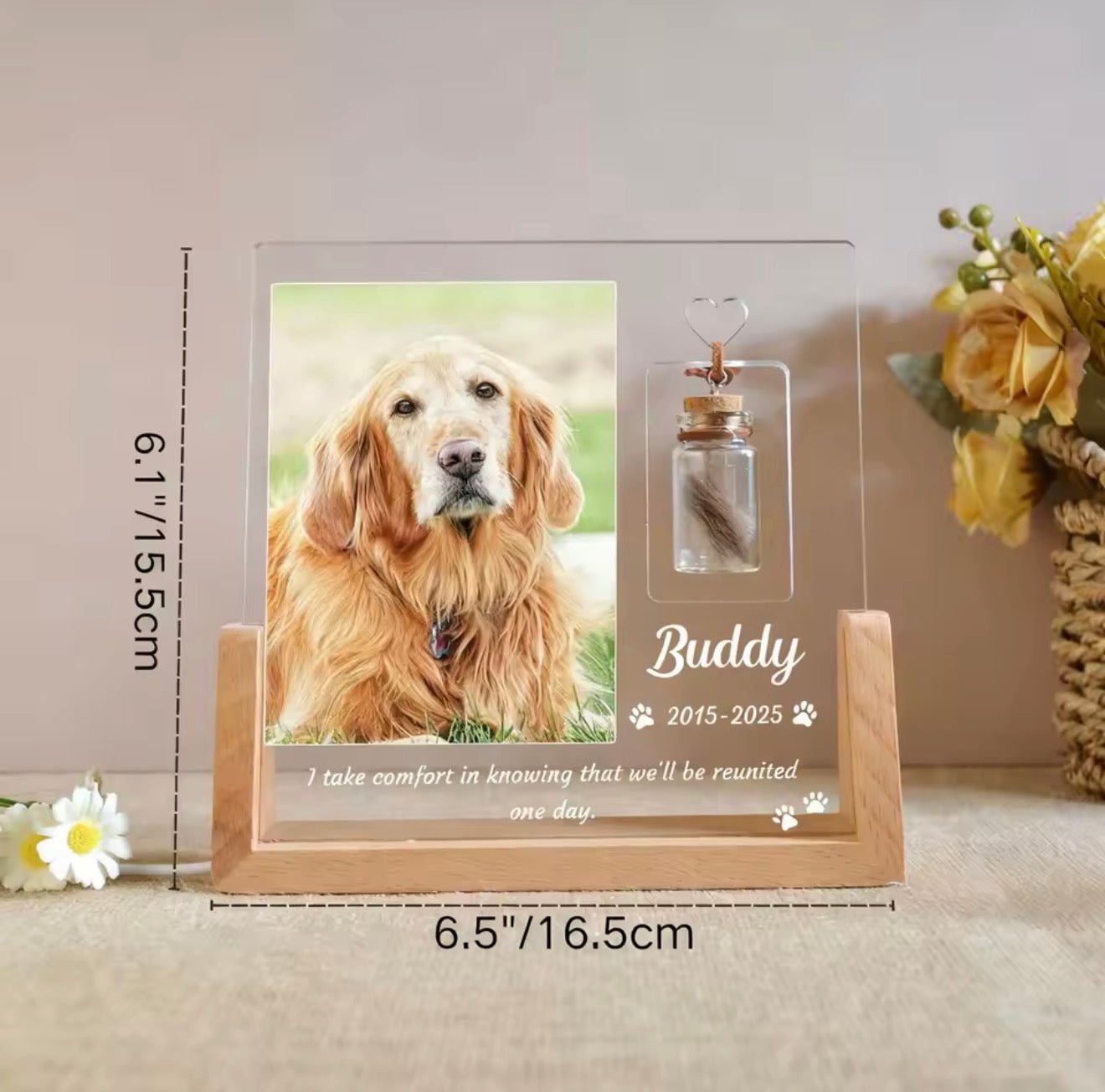 Forever Loved™ Personalized Pet Memorial Light & Fur Keepsake - Always Whiskered
