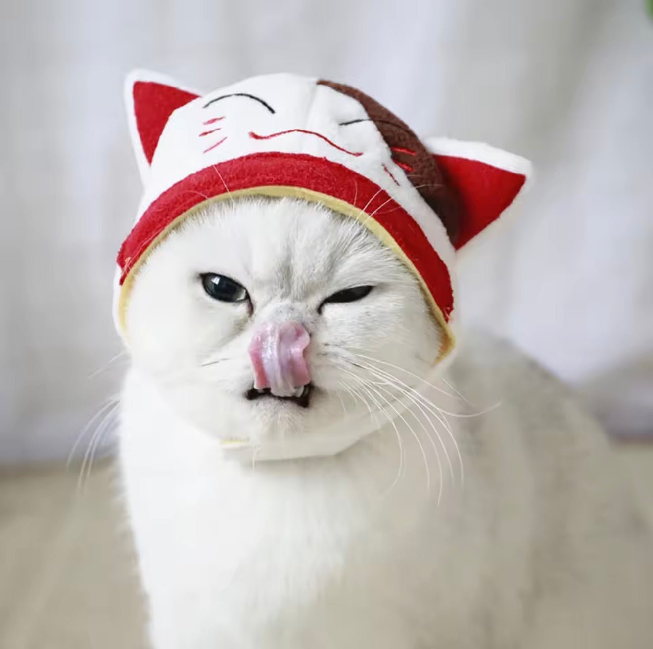 Lucky Cat Head Gear - Always Whiskered
