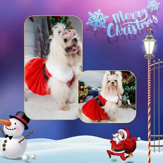 Santarina Pet Dress - Always Whiskered