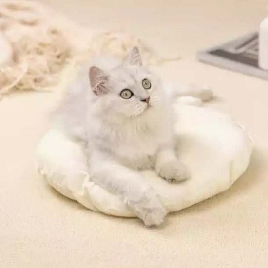 Circus Tent Bed - Always Whiskered