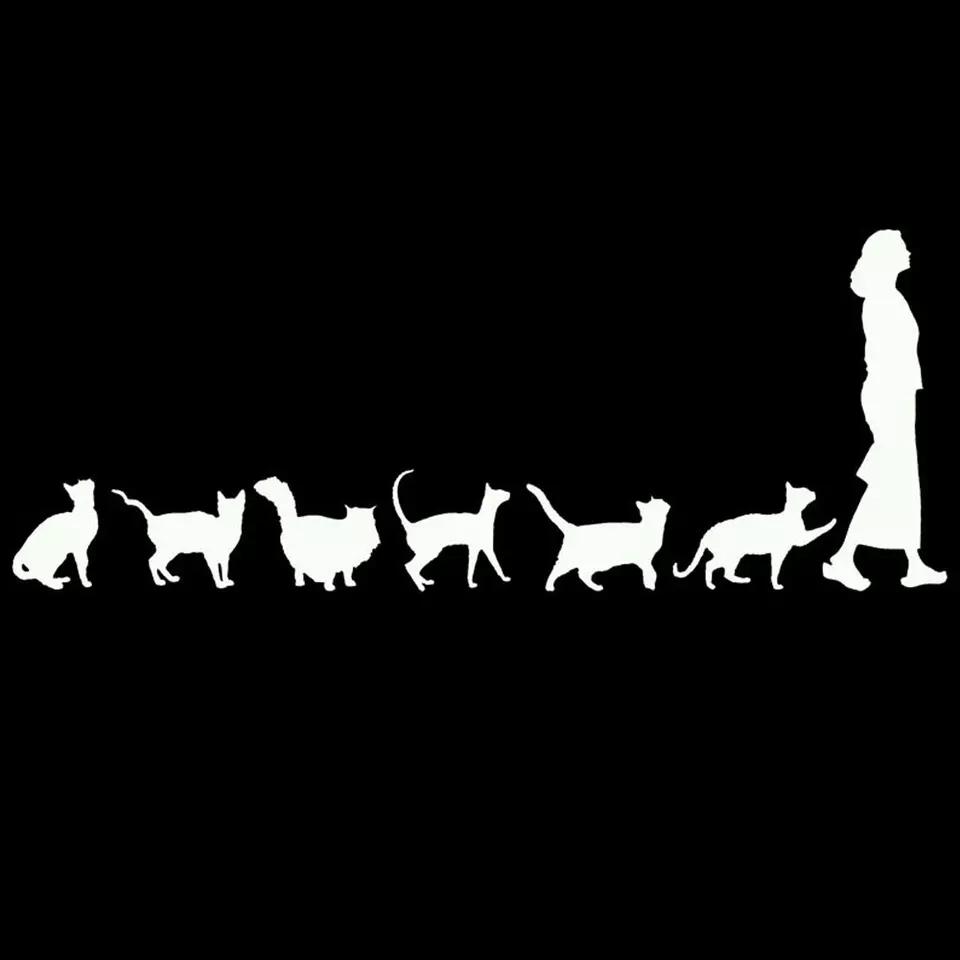 Crazy Cat Lady Decals - Always Whiskered