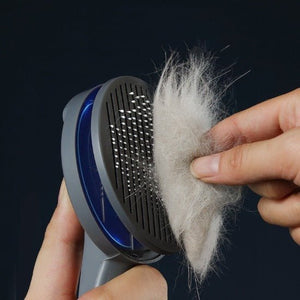 Easy Fur-Off Brush - Always Whiskered