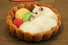 Fruit Tart Bed - Always Whiskered