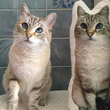 Custom Pet pillow - Always Whiskered