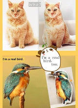 Custom Pet Pillow - Always Whiskered