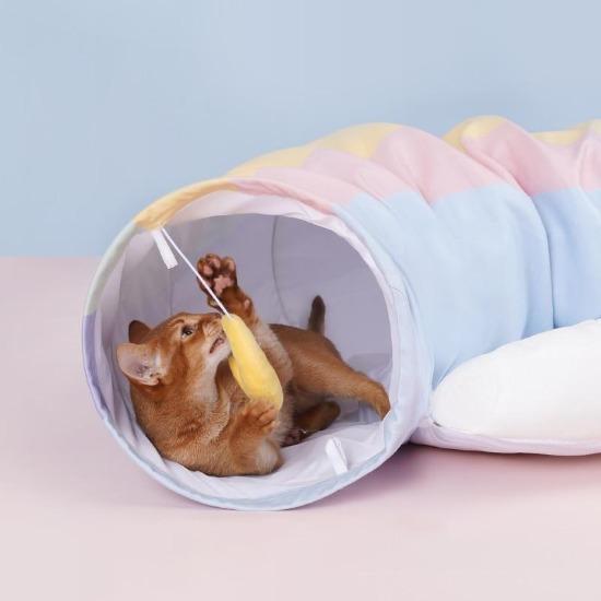 Rainbow cat tunnel bed - always whiskered