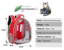 transparent cat backpack 
