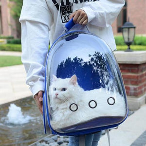 transparent cat backpack 