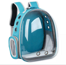 Pawfect View Clear Pet Backpack - Always Whiskered