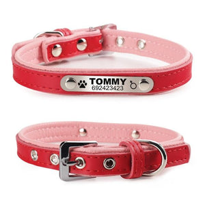 Personalized Pet Collar - Always Whiskered