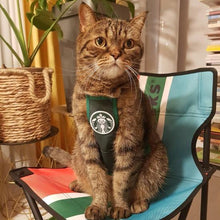 Starbucks pet apron costume