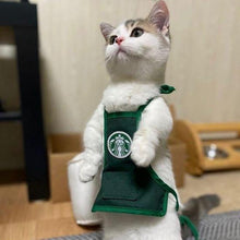 Starbucks pet apron costume