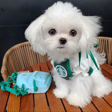 Starbucks pet apron costume