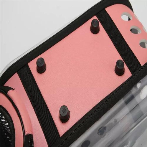 Transparent Pet Carrier - Always Whiskered