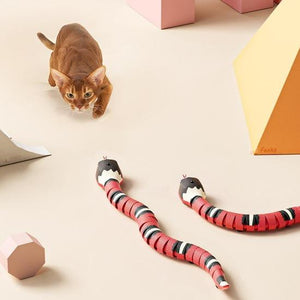 Sneaky Snake Smart Toy - Always Whiskered