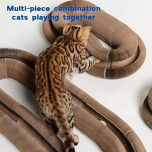 Stretch It Magic Cardboard Toy - Always Whiskered