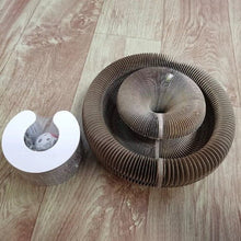 Stretch It Magic Cardboard Toy - Always Whiskered