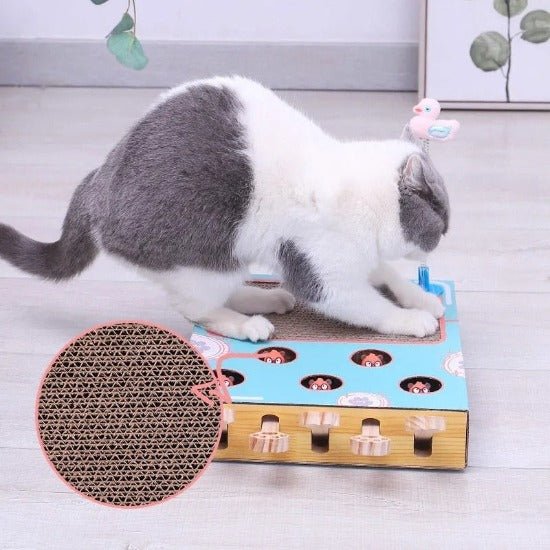 http://alwayswhiskered.com/cdn/shop/products/whack-a-mole-scratcher-toy-281699_1024x1024.jpg?v=1645175219