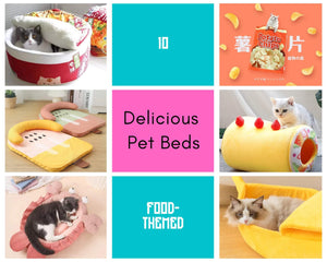 10 Delicious Pet Beds | Always Whiskered
