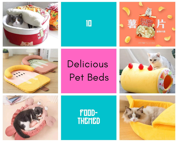 10 Delicious Pet Beds