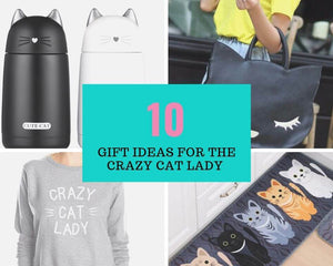 10 Gift Ideas for the Crazy Cat Lady - Always Whiskered