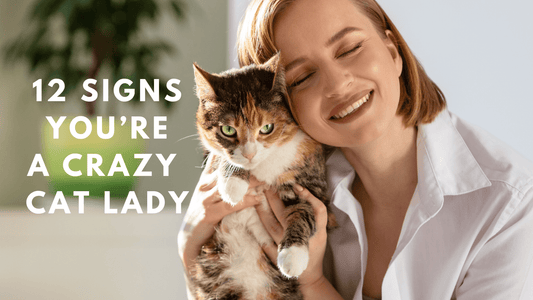 12 Signs You’re Happily Cat-Obsessed - Always Whiskered