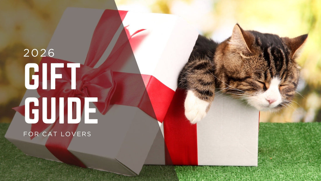 15 Best Gifts for Cat Lovers They'll Actually Use (2026 Guide) - Always Whiskered