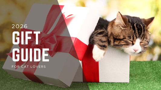 15 Best Gifts for Cat Lovers They'll Actually Use (2026 Guide)