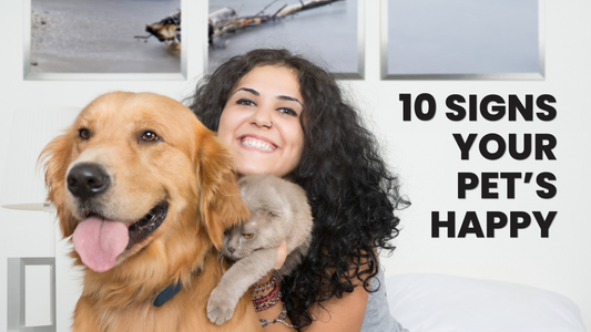 Is My Pet Happy? 10 signs for Cats and Dogs