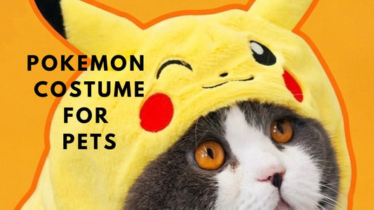 Pokémon Pet Costumes: 6 Cute Costumes for Pets