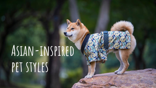 Asian-Inspired Pet Style: Cute Beds, Costumes & Accessories - Always Whiskered