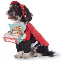 Pizza delivery pet costume 