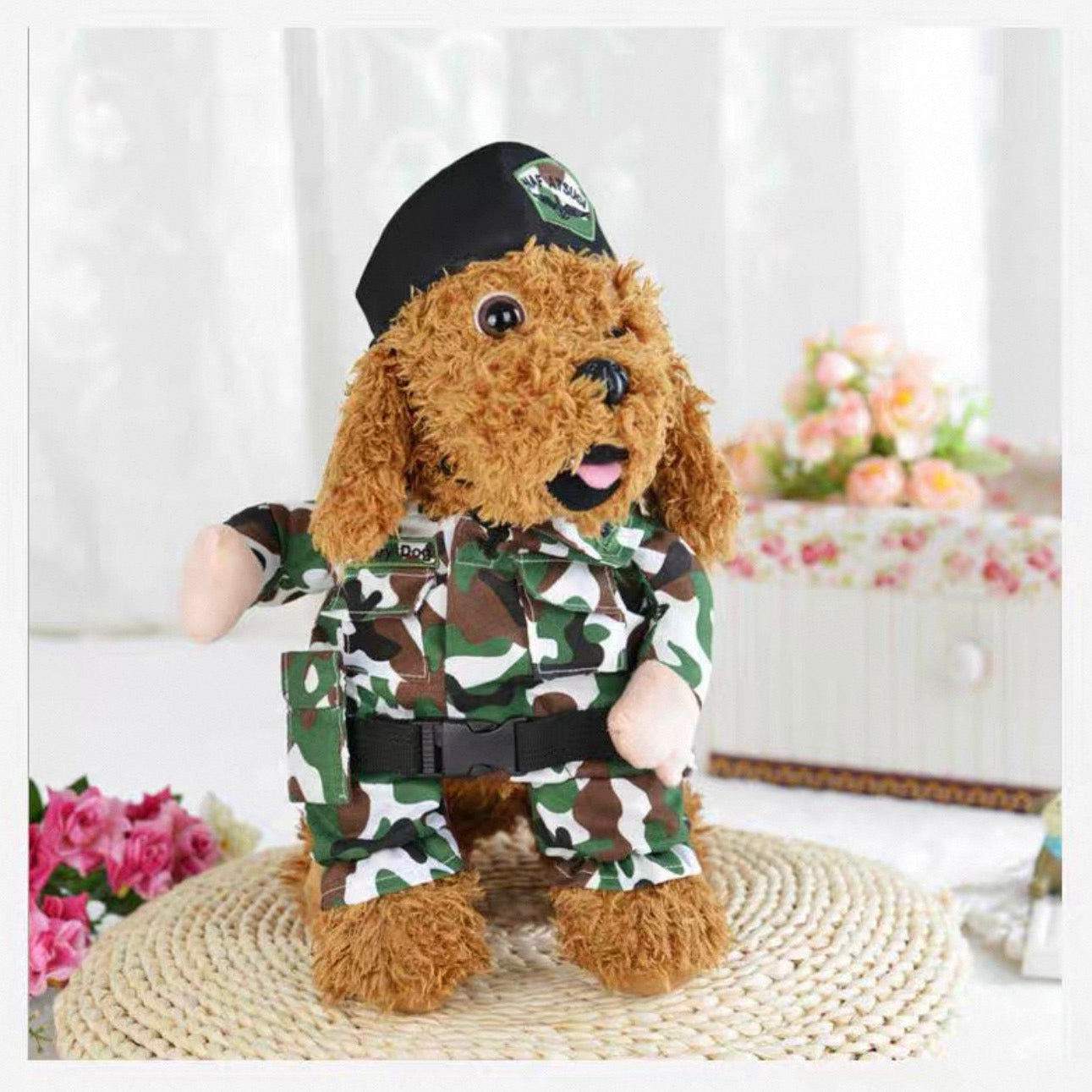 Army Pet Costume