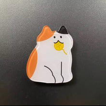 Kawaii Kitty Magnets ( 5pcs set)