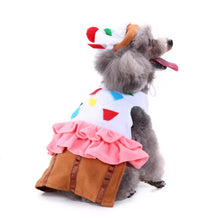 Cupcake pet costume - always whiskered 
