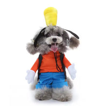 Goofy pet costume -always whiskered