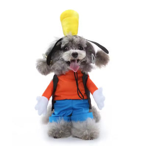 Goofy pet costume -always whiskered