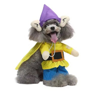 Gnome pet costume 