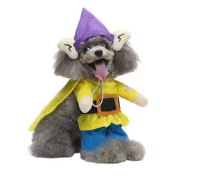 Gnome pet costume 