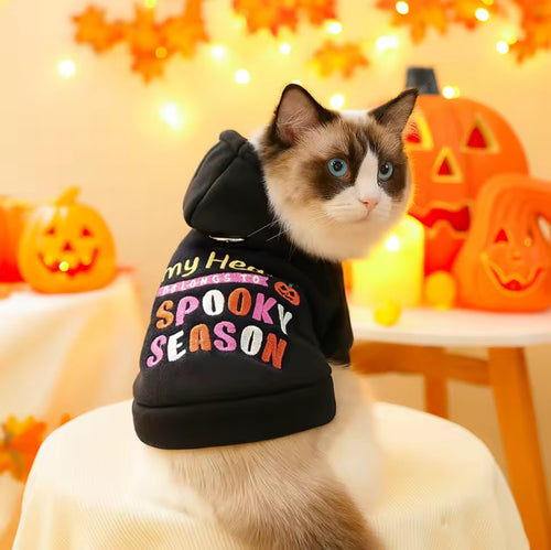 Halloween Pet Sweater