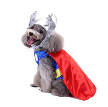Thor pet costume 