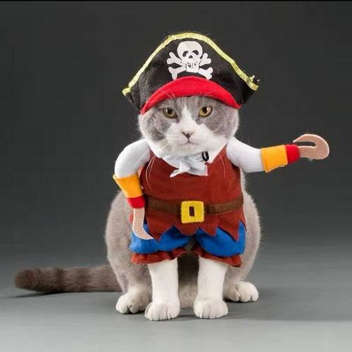 Pirate Pet Costume