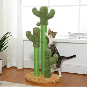 Looking Sharp Cactus Scratch Post