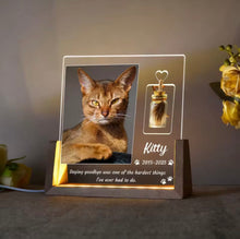 Forever Loved™ Personalized Pet Memorial Light & Fur Keepsake