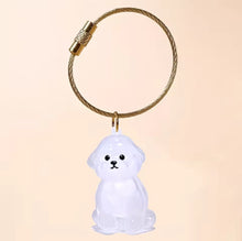 FurKeeps Charm