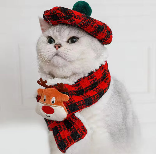 Festive pet beret & scarf set 