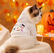 Halloween Pet Cat Dog Sweater 