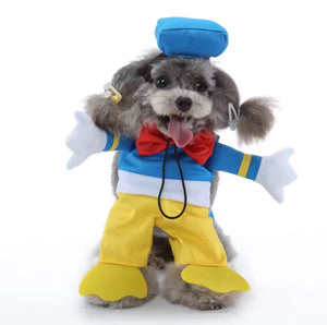 Donald duck pet costume 